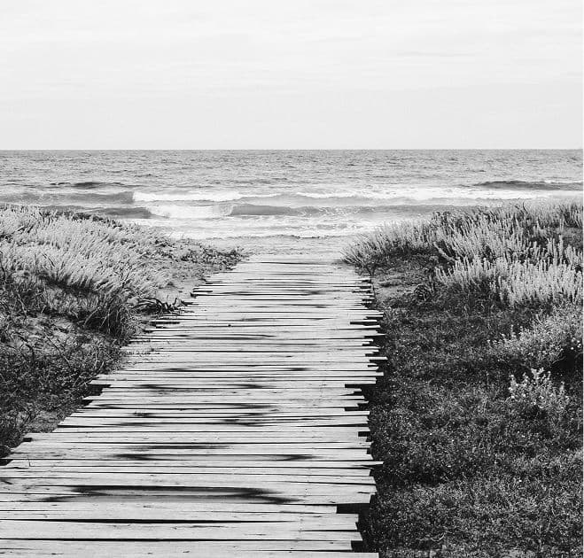 Pasarela de madera entre dunas y vegetación que conduce al mar en fotografía en blanco y negro